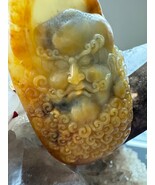 Exquisite hand carved image of Bodhidharma (Damo) pendant| Rare high qua... - $3,232.66 CAD
