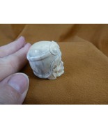 (SKULL-W69) Medium white full skeleton Skull figurine Bali antler crafte... - $76.81 CAD
