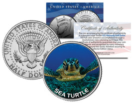 SEA TURTLE JFK Kennedy Half Dollar U.S. Colorized Coin - $231.03 MXN