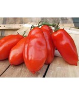 Tomato Garden Collection, Heirloom, Organic Seeds, 6 Top Varieties - £5.49 GBP