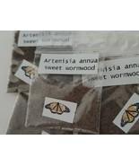Artemisia annua sweet wormwood seeds (1 Gram)  + 2 Grams Nettle seeds - $10.86 CAD