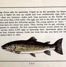 Atlantic Salmon 1939 Fresh Water Fish Art Gordon Ertz Color Plate Print ... - $29.99