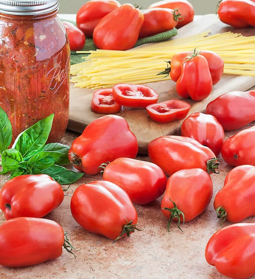 KS San Marzano Tomato Organic Non Gmo Planting 225 Seeds  - €8,72 EUR