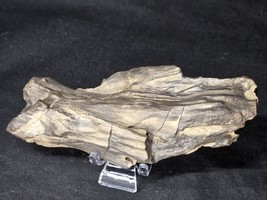 Petrified Wood Log Large Natural Decorative Crystal (03) - $460.83 MXN