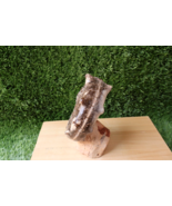 4.4 inch Ammonite Mammites Nodosoides Ammonite Moroccan fossils Ammonite AM5 - €84,53 EUR