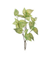 Anthurium Leaf Branch (Set of 4) - $114.88 CAD