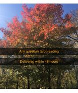 In depth Any question Tarot reading 24-48  hour delivery - $10.00