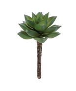 Succulent Plant Pick (Set of 12) - 677889 - $1,277.48 MXN