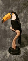 Toco Toucan Taxidermy Mount (Ramphastos toco) - £3,030.56 GBP