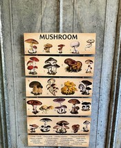 Mushroom Genus Classification List Wall Decor - $28.00