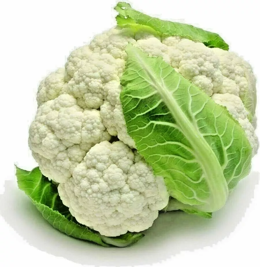 600+ Cauliflower Seeds Snowball Spring Vegetable Huge Heirloom Garden No... - £3.71 GBP