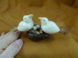 (TNE-BIR-LO-15c) pair Lovebirds love bird + eggs nest TAGUA NUT figurine - $36.45
