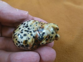 (Y-CAT-SLR-581) spotted Sleeping KITTY CAT gemstone gem carving figurine... - $14.01