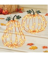 LED Lighted Fall GOURD PUMPKIN Garden Stake Outdoor Porch Patio Yard Dec... - $25.91 CAD