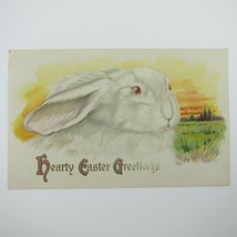 Easter Postcard White Bunny Rabbit Yellow Gold Sky Green Grass Embossed Antique - £4.74 GBP