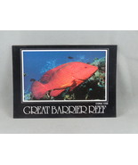 Vintage Postcard - Coral Cod Great Barrier Reef Australia - Peer Product... - $15.00