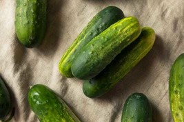 50 Seeds Pickling Cucumber Heirloom Non-GMO SMR 58 Fresh Seeds - $89.02 MXN