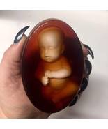 New Fetus Baby Shower Favors Soap Oddities Collectible Vegan Friendly Ne... - £31.23 GBP