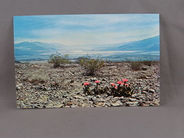  Vintage Postcard - Death Valley National Monument Hell&#39;s Gate - Dexter Press - £11.99 GBP