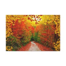 Autumn Fall Orange Leaf Forest Tree Trail Nature Wilderness Photography Canvas  - $90.24+