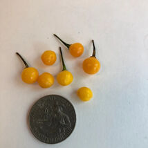 Item image 1 image 1