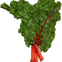 300 Rhubarb Red Swiss Chard Perpetual Spinach Beta Vulgaris Vegetable Seeds US S - £5.99 GBP