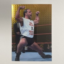 1999 Comic Images Shawn Michaels Smackdown Chromium Edition #29  WWE - £2.50 GBP