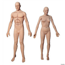 Flex body male - $1,507.49 CAD