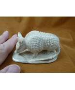 (Armad-8) large Armadillo desert dillo of shed ANTLER figurine Bali deta... - $165.28 CAD
