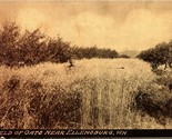 A Field of Oats Near Ellensburg Washington WA UNP Unused 1910s DB Postca... - $16.00