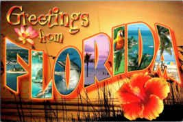 Postcard Florida Greeting Stock Card Scenic Florida Distributors  6 x 4 Ins - £3.87 GBP