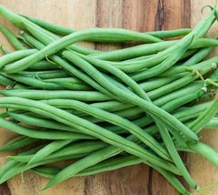 Top Crop Bush Green Beans,Seeds Non Gmo Heirloom Seeds,Bean Seeds - $18.99