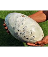 XL 285MM Green Tree Agate Crystal Healing Display Decor Stone Shiva Lingam - $875.64