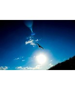 Same-day psychic reading via phone or live chat. PDF transcript available. - $34.30 CAD+