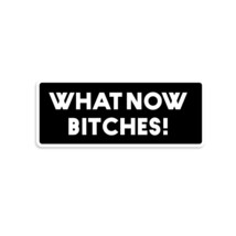 What Now Bitches Sticker - £2.33 GBP