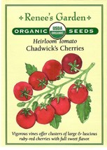 Best Tomato Chadwick&#39;S Cherry Organic Heirloom Vegetable Seeds Renee&#39;S G... - £6.65 GBP