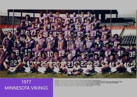 1977 MINNESOTA VIKINGS 8X10 TEAM PHOTO FOOTBALL NFL PICTURE - £3.86 GBP