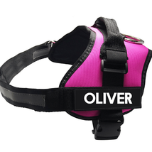 Ultimate Pet Adventure Chest Harness And Leash Set - £20.88 GBP