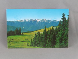 Vintage Postcard - Olympic Mountains Olympic National Park - National Park Conc - £11.75 GBP