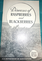 Diseases of Raspberries &amp; Blackberries Farmers Bulletin No. 1488 Printed... - $3.99