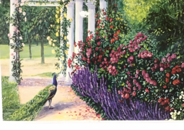 Peacock Garden Elodie Cazes 1000 Pc Jigsaw Puzzle Mouth Painting Artist ... - $31.04