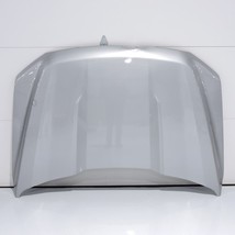 2021-2023 Ford F-150 Silver Front Hood Bonnet Shell Cover Panel ML3Z1661... - $287.10
