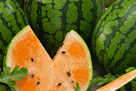 Tendersweet Orange Watermelon Non - Gmo Fresh Garden Harvest 25 Seeds - £3.31 GBP