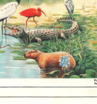 Capi ! Capybara Themed Stationery Prepaid airmail cover unused Bird - $26.32