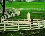 White Fences In Kentucky Horse Park Lexington KY UNP Unused Chrome Postc... - $2.92
