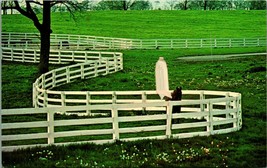 White Fences In Kentucky Horse Park Lexington KY UNP Unused Chrome Postcard C4 - £2.29 GBP
