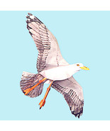 Jackite Seagull Kite / Windsock - £31.09 GBP