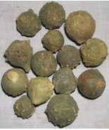 Majuphal  oak gall  majoophal  manjakani - QUERCUS INFECTORIA 100gm powder - $22.71 CAD
