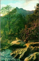 Chimney Tops Little Pigeon River Great Smoky Mountains National Park S22 - £3.08 GBP