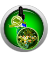 Frankincense (Boswellia Carterii) Essential Oil - €6,92 EUR+